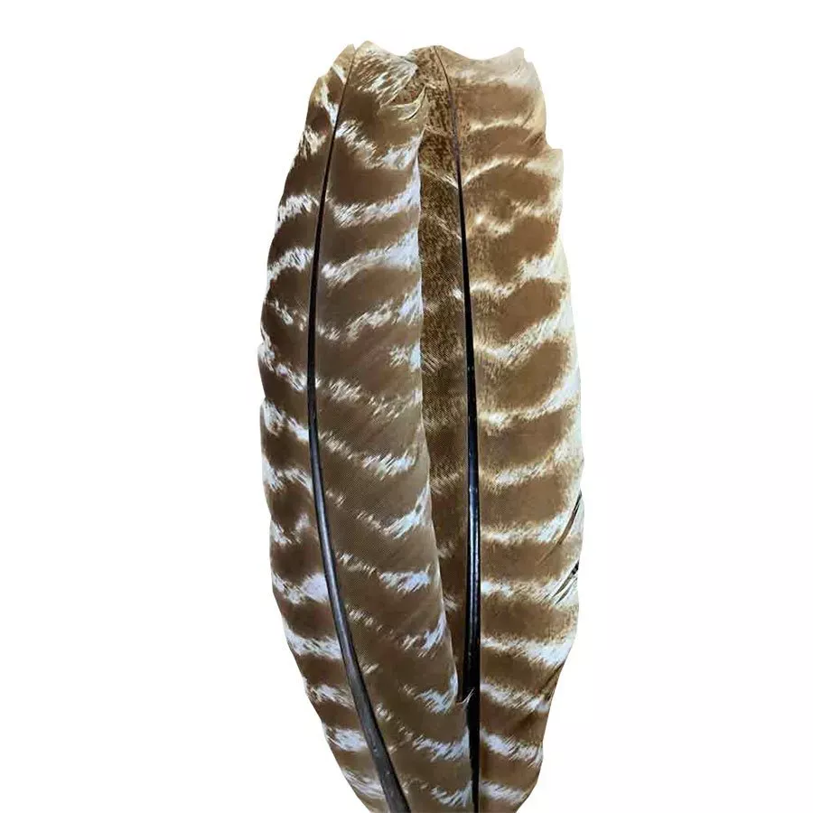 Wapsi Ozark Turkey Quill