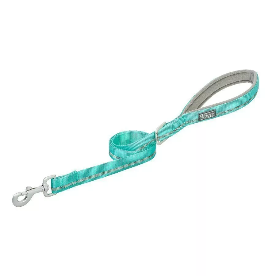 Weaver Reflective Neoprene Lined Dog Leash - Mint