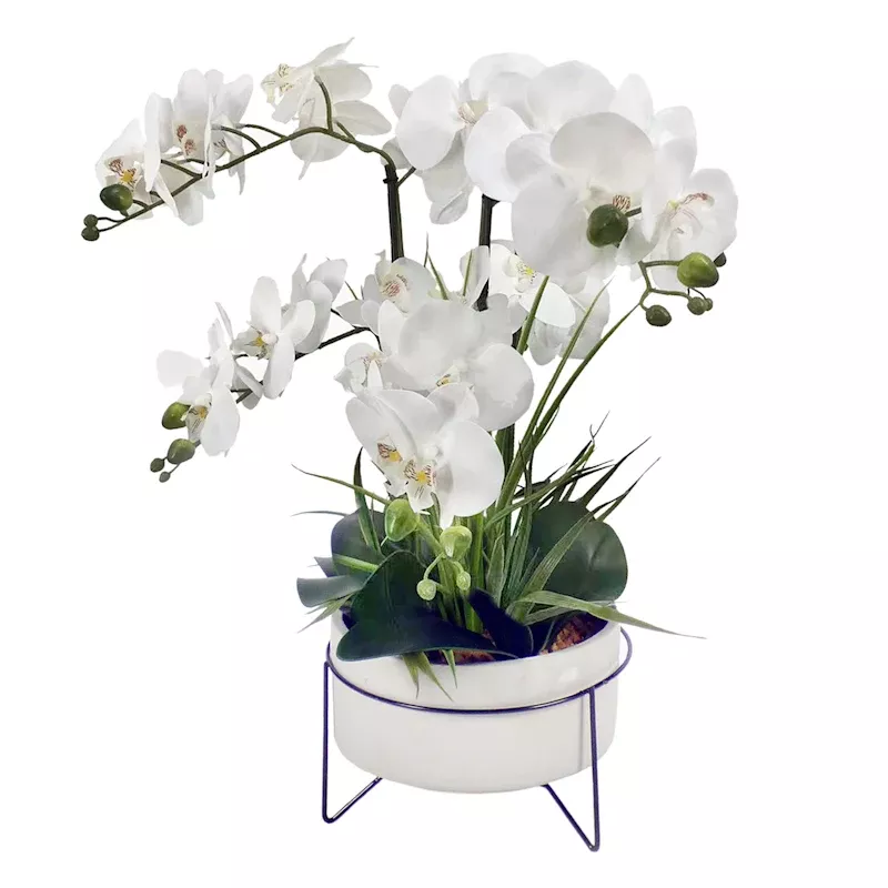 White Orchid in Cement & Metal Plant Stand, 29"