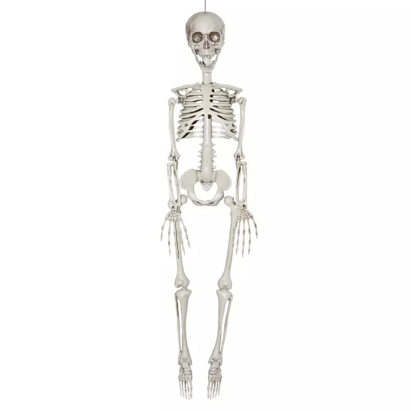 White Skeleton, 35"