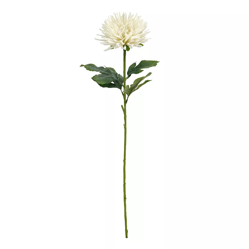 White Star Floral Stem, 24"
