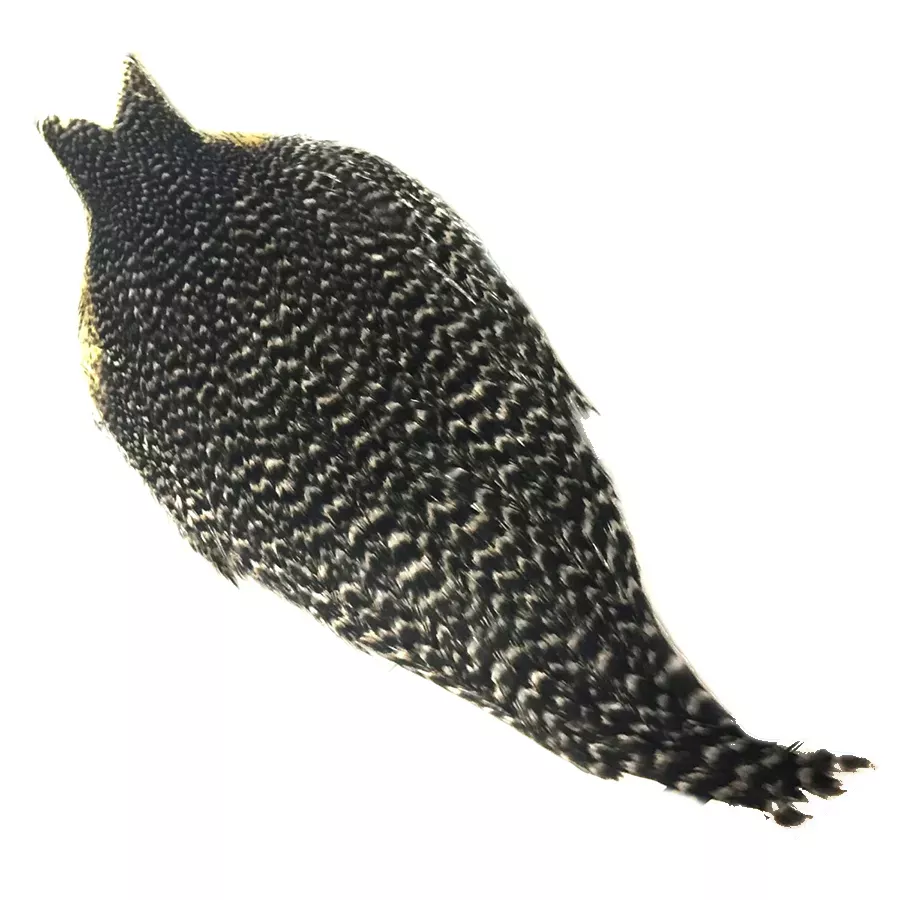 Whiting Farms Hebert Hen Cape