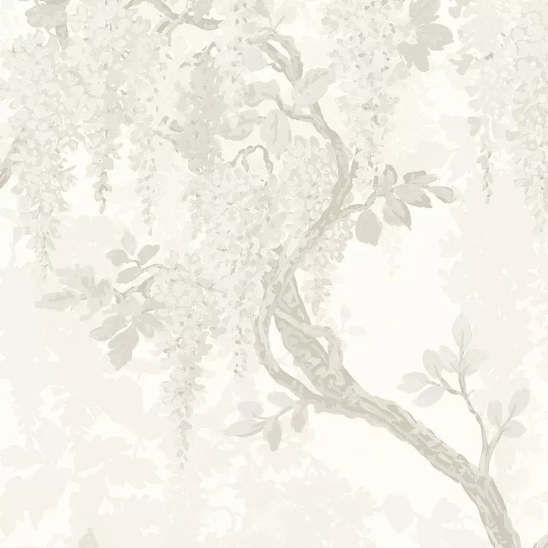Wisteria Magnolia Wallpaper