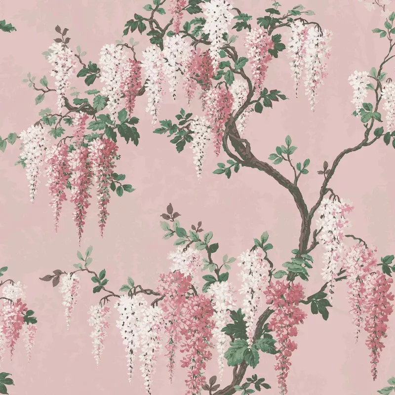 Wisteria Pink Bloom Wallpaper