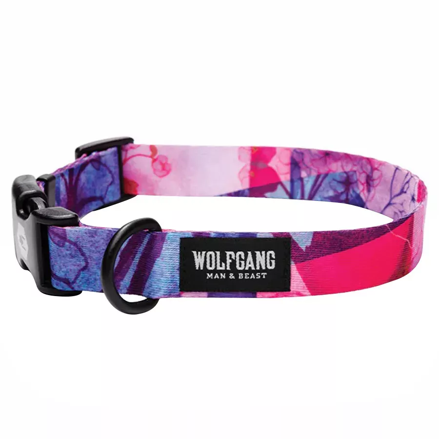 Wolfgang Day Dream Dog Collar - L