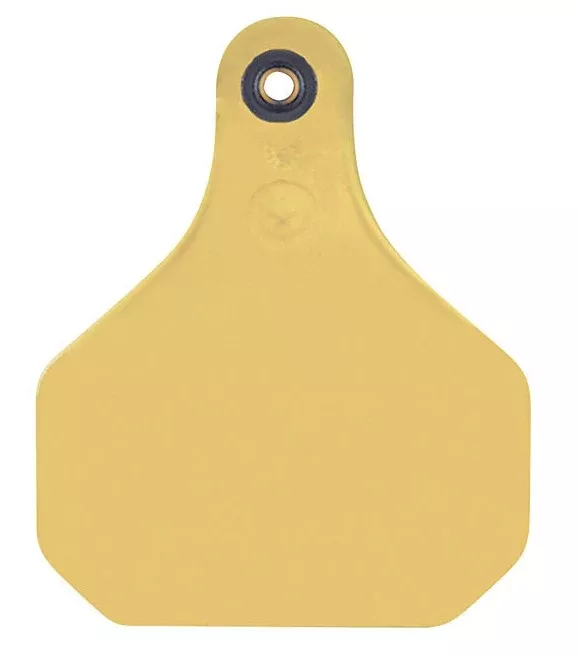 Y-Tex 1613000 Insecticide Tags, Plastic