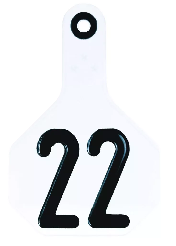 Y-Tex 7700001 Plastic Ear Tag, White