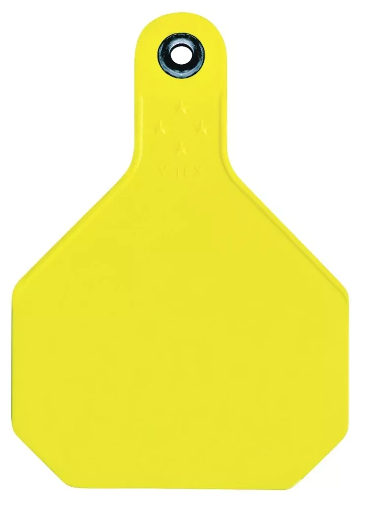 Y-Tex 7913000 Large Plastic Blank Tag, Yellow