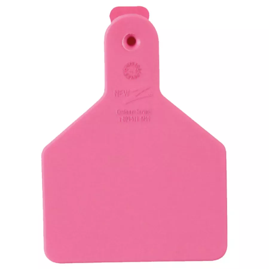Z Tags Blank Calf Ear Tags - 25 pk