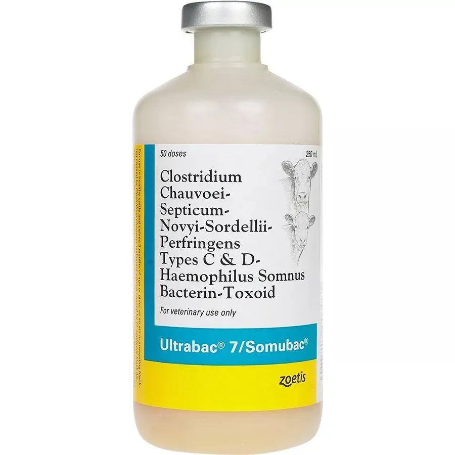 Zoetis Ultrabac CD- 50 Dose